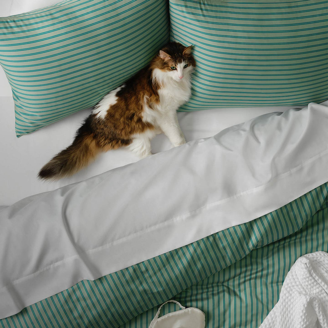 Luxe bedding
