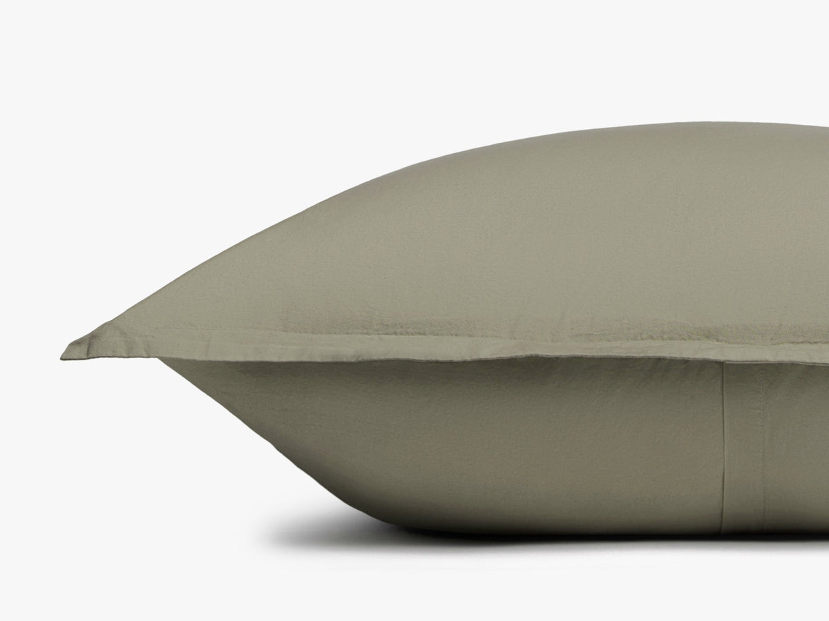 Brushed Cotton Euro Sham (Moss)